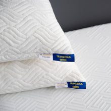 Load image into Gallery viewer, Enther Shredded Memory Foam Pillows with Machine Washable Bamboo Cover
