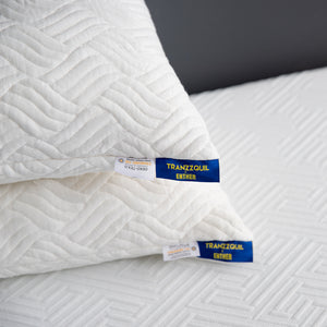 Enther Shredded Memory Foam Pillows with Machine Washable Bamboo Cover