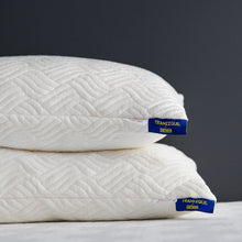 Load image into Gallery viewer, Enther Shredded Memory Foam Pillows with Machine Washable Bamboo Cover
