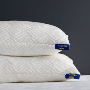 Enther Shredded Memory Foam Pillows with Machine Washable Bamboo Cover